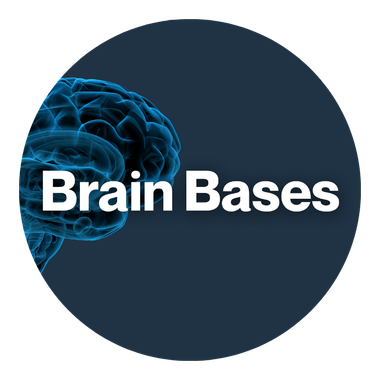 Brain Bases
